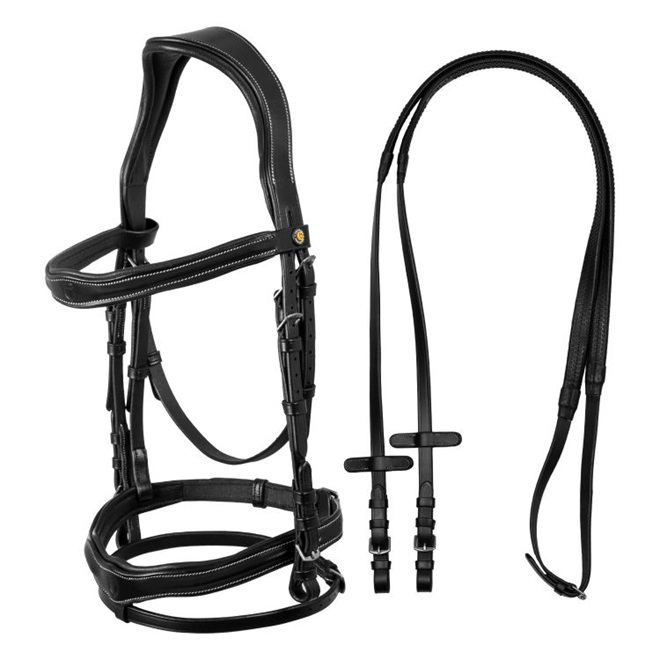 BRIGLIA EQUESTRO ANATOMIC  